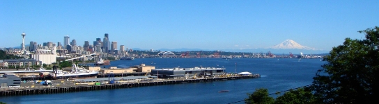 Seattle Skyline View