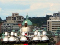 Victoria eagle