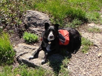 Lucy at ease
