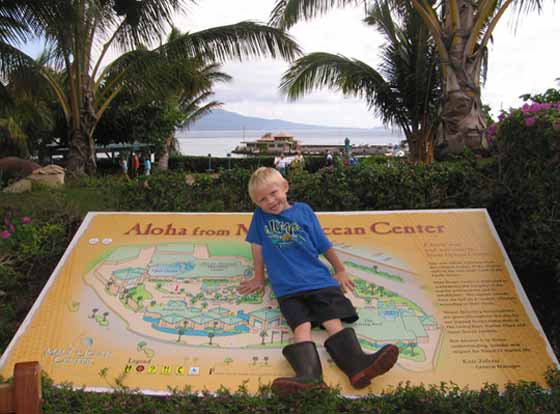 In the center of the world, well the aquarium In the center of the world, well the aquarium