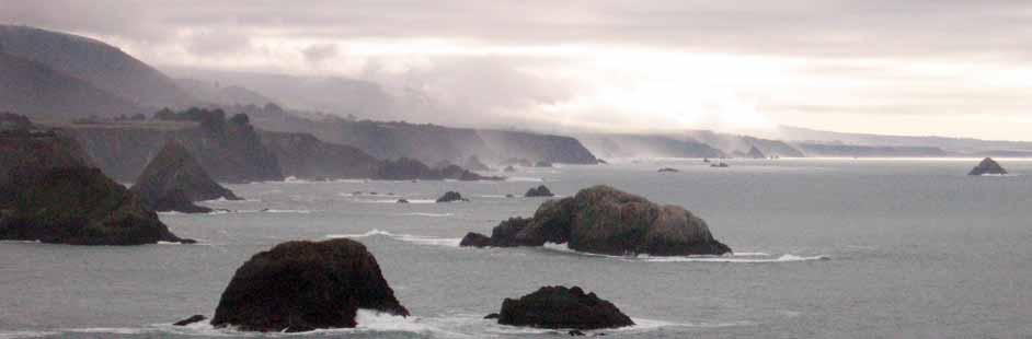 The coast in fog