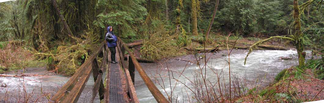 The trails was well maintained considering constant rain bridge on hike
