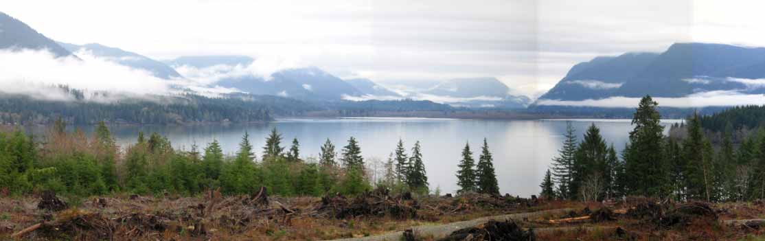 Lake Quinault is visible because they just logged this area right next to the road Lake Quinault