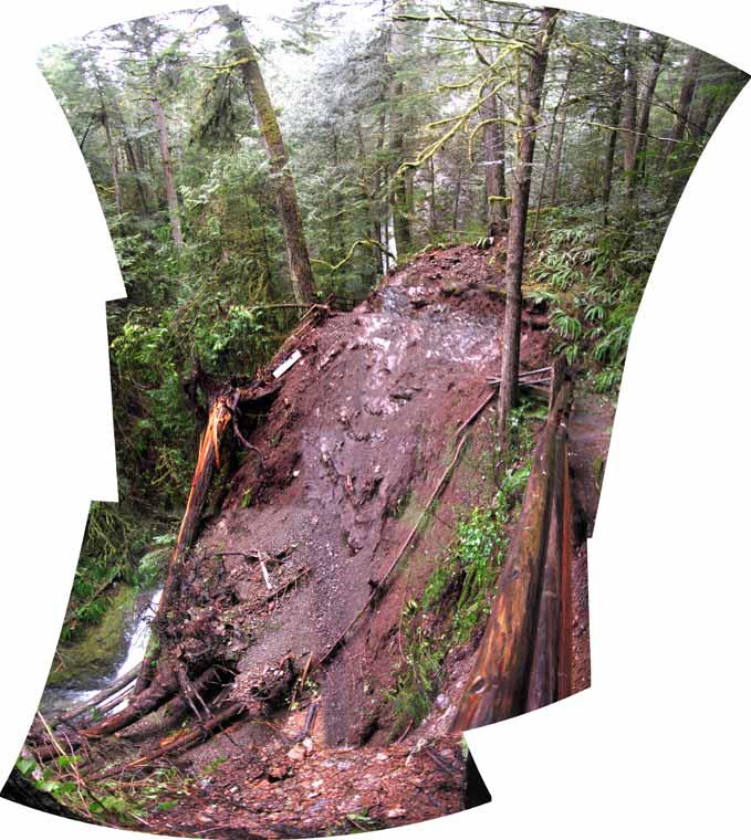 Neil wanted you to see what the slide looked like. trail slide